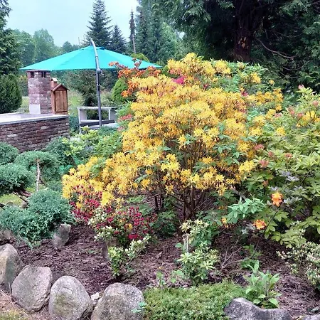 Enklawa Nad Kwisa 4 Daire